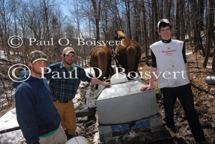 Maple Sugaring 30-20-11927