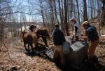 Maple Sugaring 30-20-11928