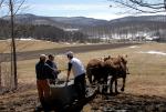 Maple Sugaring 30-20-11929