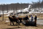 Maple Sugaring 30-20-11931