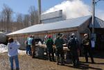 Maple Sugaring 30-20-11932