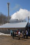 Maple Sugaring 30-20-11933