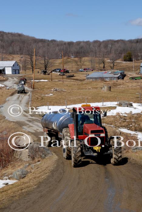 Maple Sugaring 30-20-11935