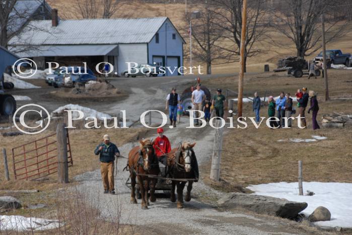 Maple Sugaring 30-20-11936