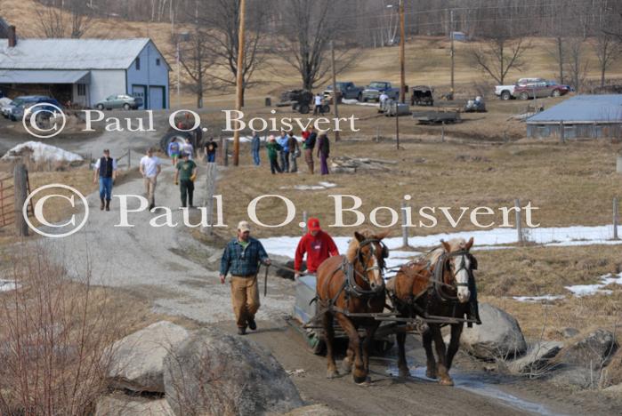 Maple Sugaring 30-20-11938