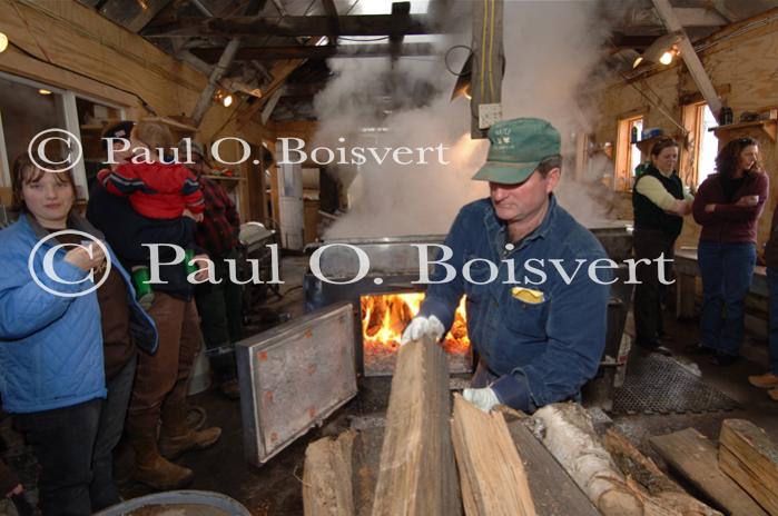 Maple Sugaring 30-20-11942