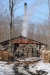 Maple Sugaring 30-20-11949