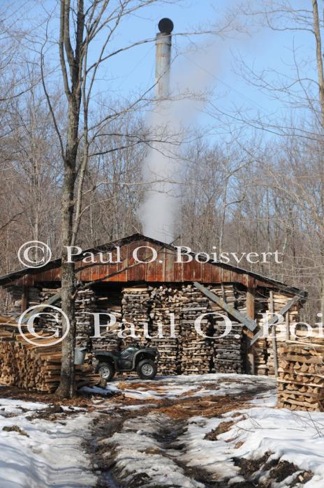 Maple Sugaring 30-20-11949