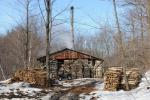 Maple Sugaring 30-20-11950