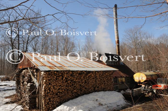 Maple Sugaring 30-20-11951