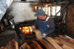 Maple Sugaring 30-20-11955