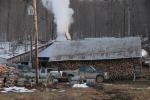 Maple Sugaring 30-20-11962