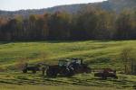 Farm-Fall 30-10-07371