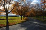 Farm-Shelburne Farms 30-25-02105