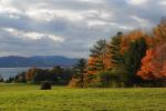 Farm-Shelburne Farms 30-25-02107