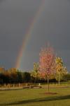 Scenery-Storms 70-15-00892