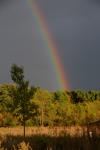 Scenery-Storms 70-15-00897