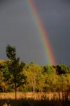 Scenery-Storms 70-15-00898