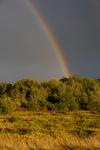 Scenery-Storms 70-15-00907