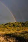 Scenery-Storms 70-15-00908