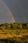 Scenery-Storms 70-15-00909