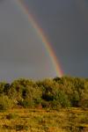 Scenery-Storms 70-15-00910