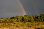 Scenery-Storms 70-15-00911