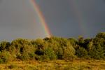 Scenery-Storms 70-15-00912