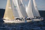 Sports-Sail 75-45-09186