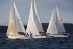 Sports-Sail 75-45-09187