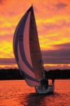 Sports-Sail 75-45-09239