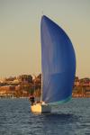 Sports-Sail 75-45-09246