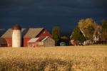 Scenery-Fall 70-05-14529