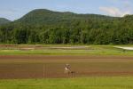 Farm-Garden 30-15-02322