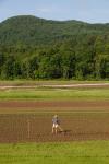 Farm-Garden 30-15-02323