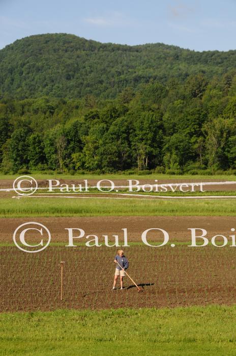 Farm-Garden 30-15-02323