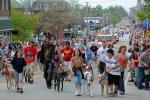 St Albans Maple Festival 65-45-00004