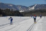 Stowe Derby-VT 75-62-00062