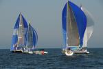 Sports-Sail 75-45-09365