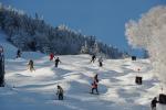 Stowe Mountain Resort 75-60-00015