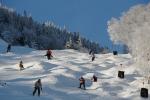 Stowe Mountain Resort 75-60-00016