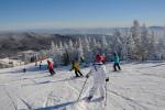 Stowe Mountain Resort 75-60-00030