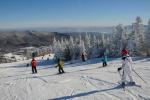 Stowe Mountain Resort 75-60-00031