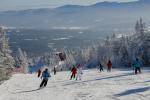 Stowe Mountain Resort 75-60-00034