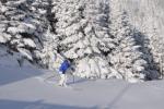 Stowe Mountain Resort 75-60-00092