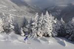 Stowe Mountain Resort 75-60-00096