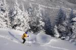 Stowe Mountain Resort 75-60-00098