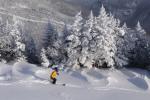 Stowe Mountain Resort 75-60-00099