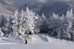 Stowe Mountain Resort 75-60-00101