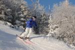 Stowe Mountain Resort 75-60-00105